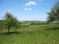 Es erwartet Sie eine abwechslungsreiche Landschaft! Wiesen, Streuobstwiesen, ...