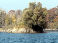 Auf dem Fermasee halten sich im Winter u.a. Hauben- und Zwergtaucher, Tafel-, Reiher- und Schellenten auf.